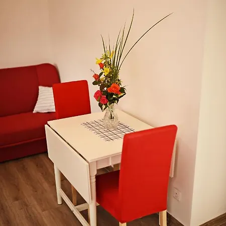 Guest house Rozarka